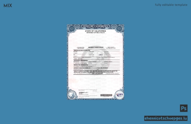 USA, Kalifornien: Änderung des Geburtsregisters (2 Seiten, Beispielvorschau)
